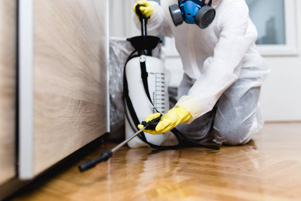 Best Rat Extermination Near Me  in Smithville Sanders, IN