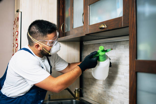 Best Wasp Removal Services  in Smithville Sanders, IN
