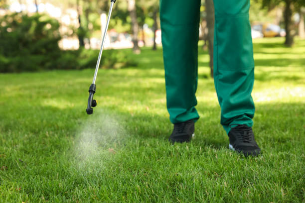 Reliable Smithville Sanders, IN Pest Control Solutions