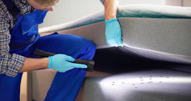 Best Local Pest Control Services  in Smithville Sanders, IN