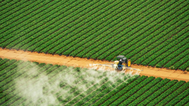 Best Termite Control Services  in Smithville Sanders, IN