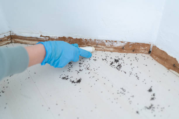 Best Best Pest Control Companies  in Smithville Sanders, IN
